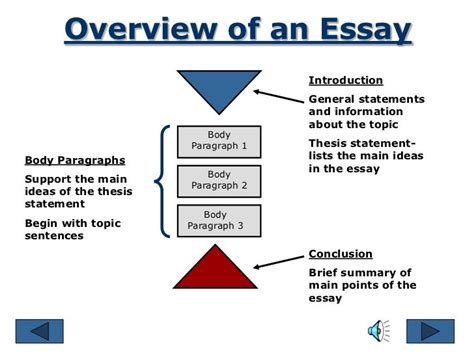 Essay Structure: The 3 Main Parts of an Essay .